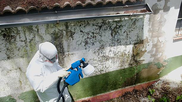 Trusted Attic Mold Removal service in Glassboro, NJ - Cheap Mold Removal